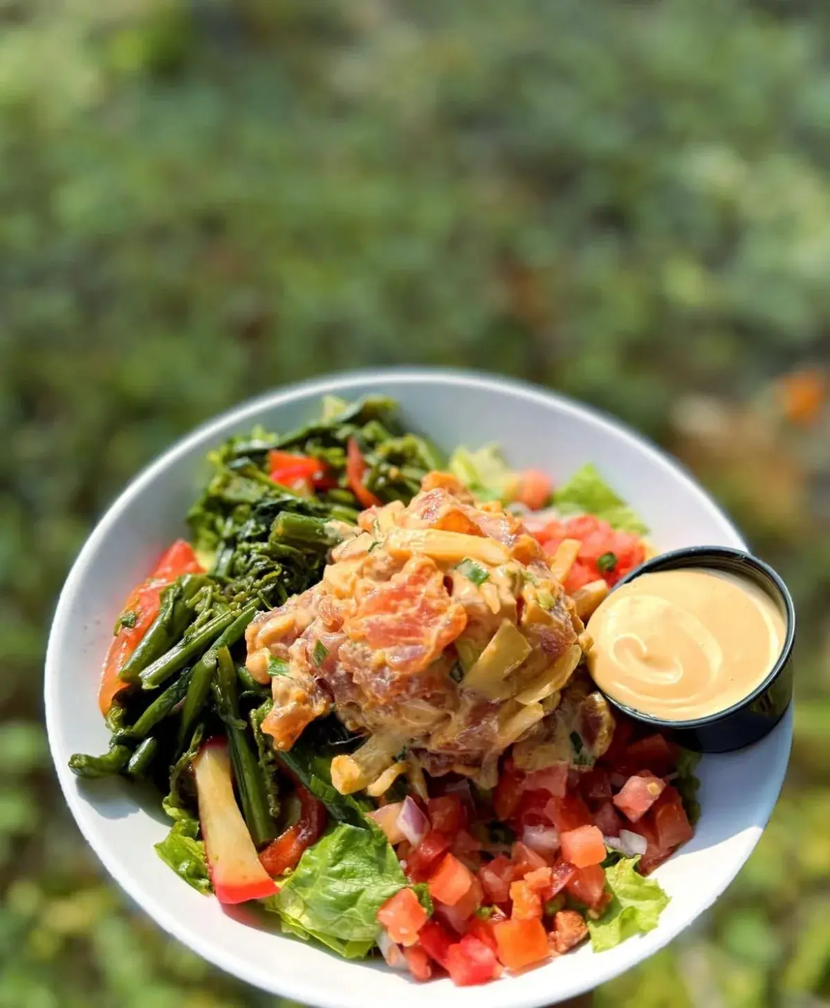 Umekes poke bowl with fresh greens, tomato and a side of sauce